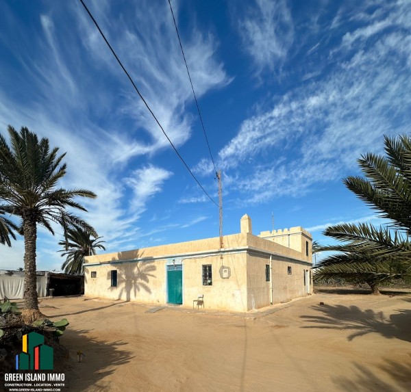 🏡 À Vendre – Ancien Houch Djerbien Authentique (𝟏𝟗𝟓𝟑)