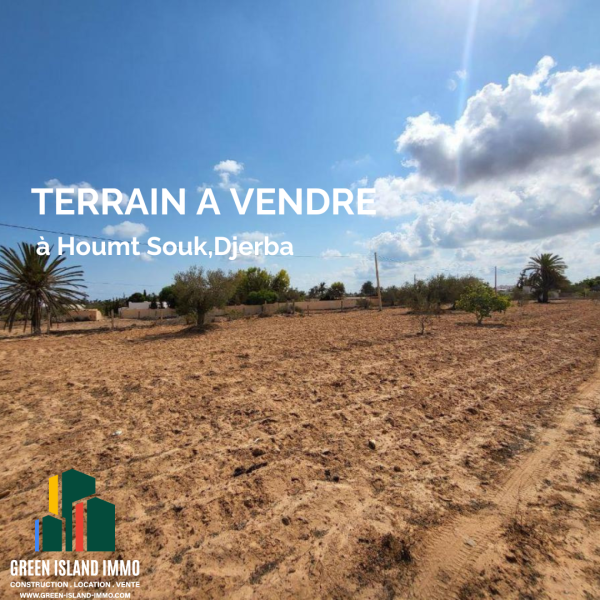 Terrain à vendre- houmt Souk